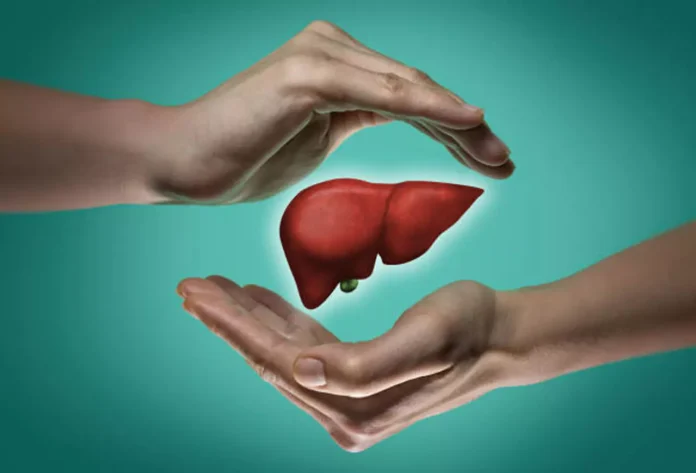 Keep the Liver healthy : यकृत हमारे शरीर का एक महत्वपूर्ण अंग, कैसे रखे इसे स्वस्थ ?