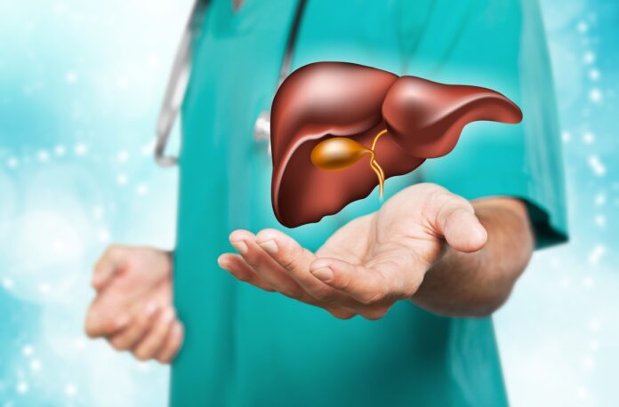 Keep the liver healthy : लिवर हमारे शरीर का एक महत्वपूर्ण अंग , जाने इसे कैसे रखे स्वस्थ ?