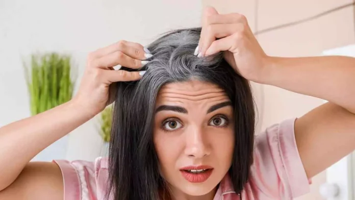 Premature Gray Hair : समय से पहले सफ़ेद बाल होने के क्या है कारण , आइये जाने