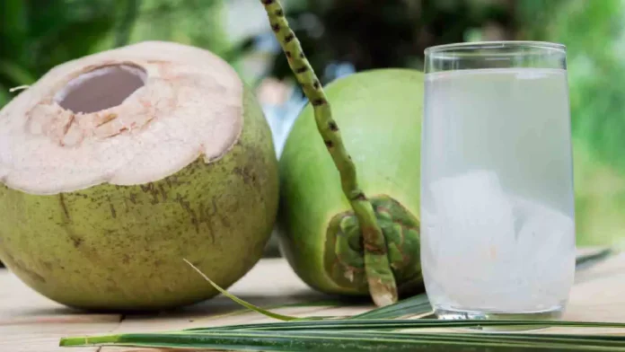 Coconut Water : नारियल पानी एक प्राकृतिक और ताज़ा पेय इसे पीने के इतने फायदे