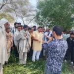 Farmers blocked Badhra Satnali road for special Girdawari of crops damaged due to hailstorm.