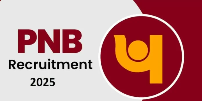 Government job opportunity in Punjab National Bank, application starts for 350 posts