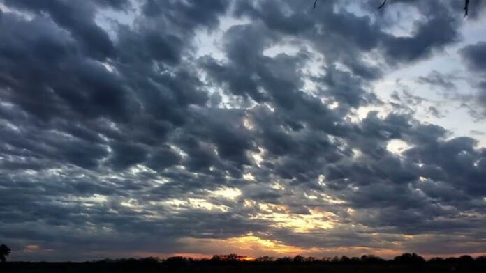 Haryana Weather Update: हरियाणा में 5 मार्च तक परिवर्तनशील रहेगा मौसम