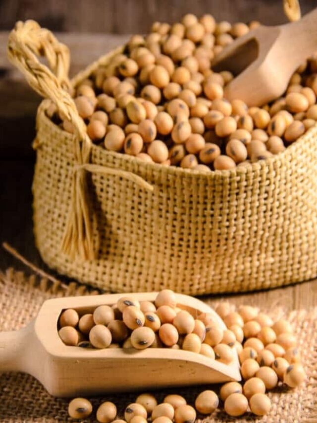 Benefits of Soybeans: डायबिटीज से लेकर हार्ट हेल्थ तक, इस सुपरफूड के अनगिनत फायदे!