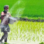 Good news for Farmers : सरकार दे रही इन फसलों पर 50% तक सब्सिडी, पूरी जानकारी पढ़े