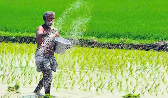 Good news for Farmers : सरकार दे रही इन फसलों पर 50% तक सब्सिडी, पूरी जानकारी पढ़े